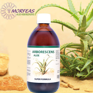 The anti-cancer effect of aloe arborescence